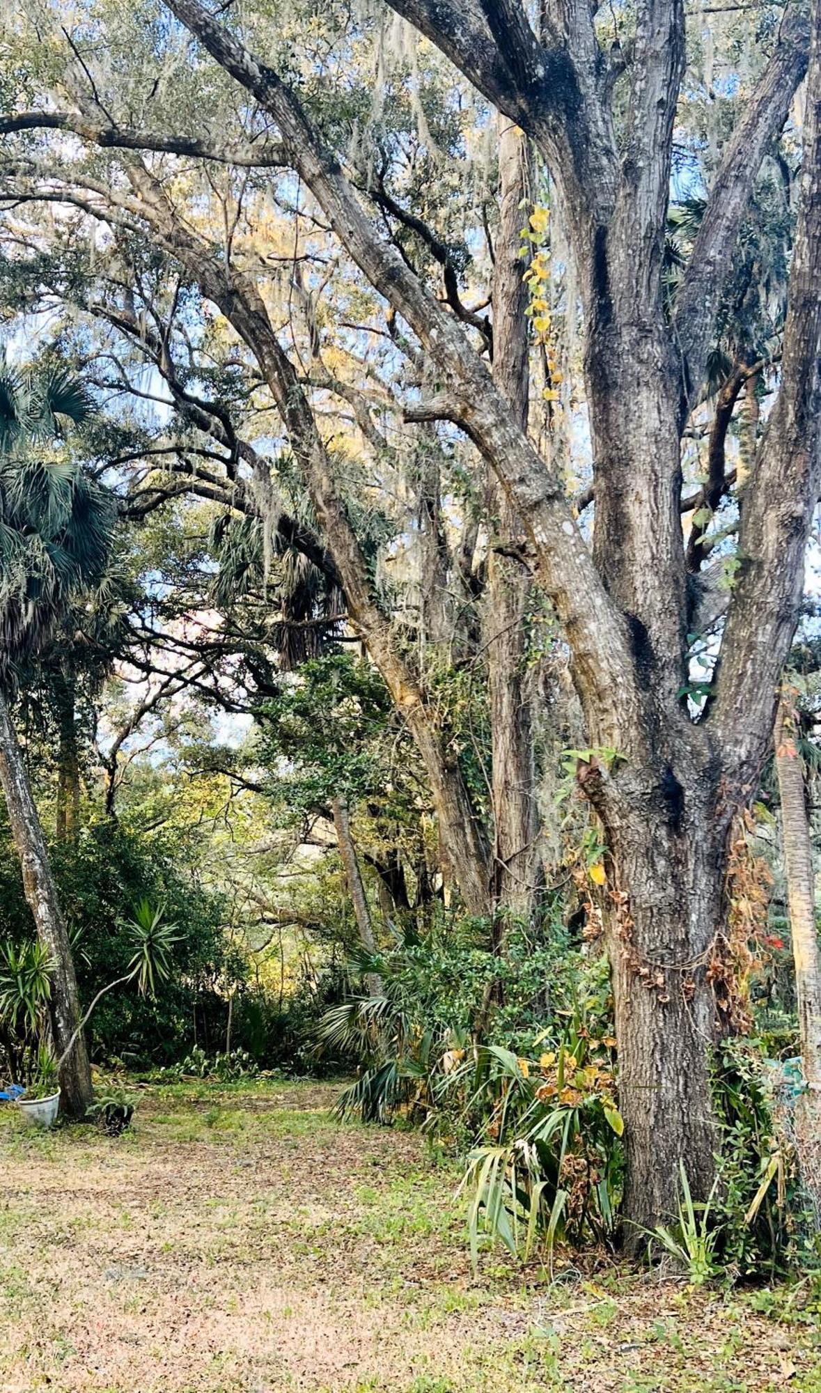 Country Welcome Micanopy Eksteriør billede