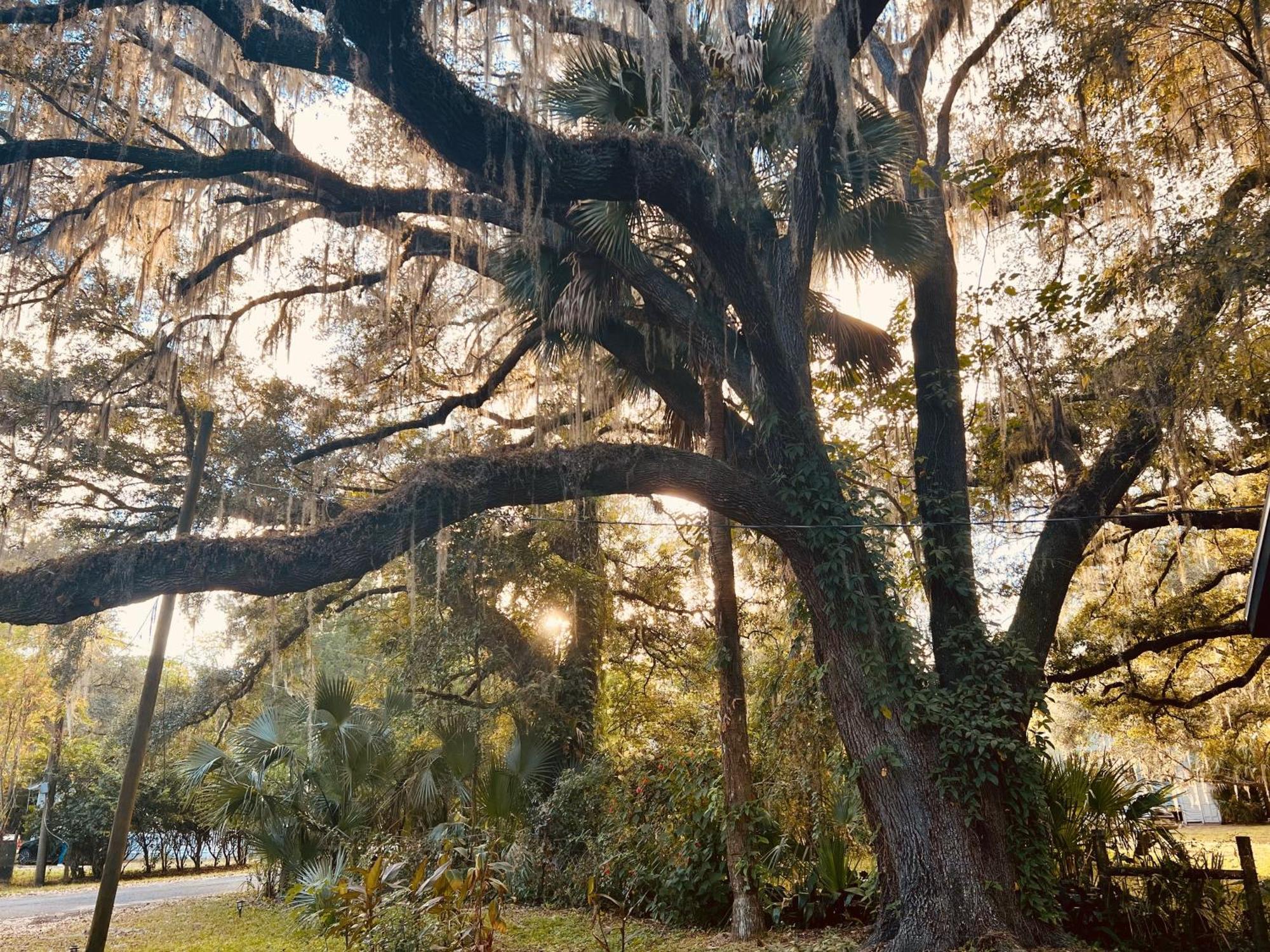 Country Welcome Micanopy Eksteriør billede